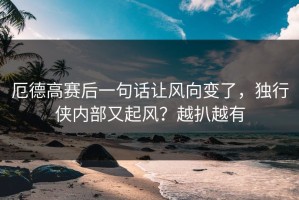 厄德高赛后一句话让风向变了，独行侠内部又起风？越扒越有